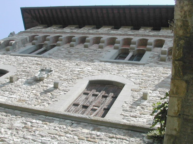 foto-4-pedriali