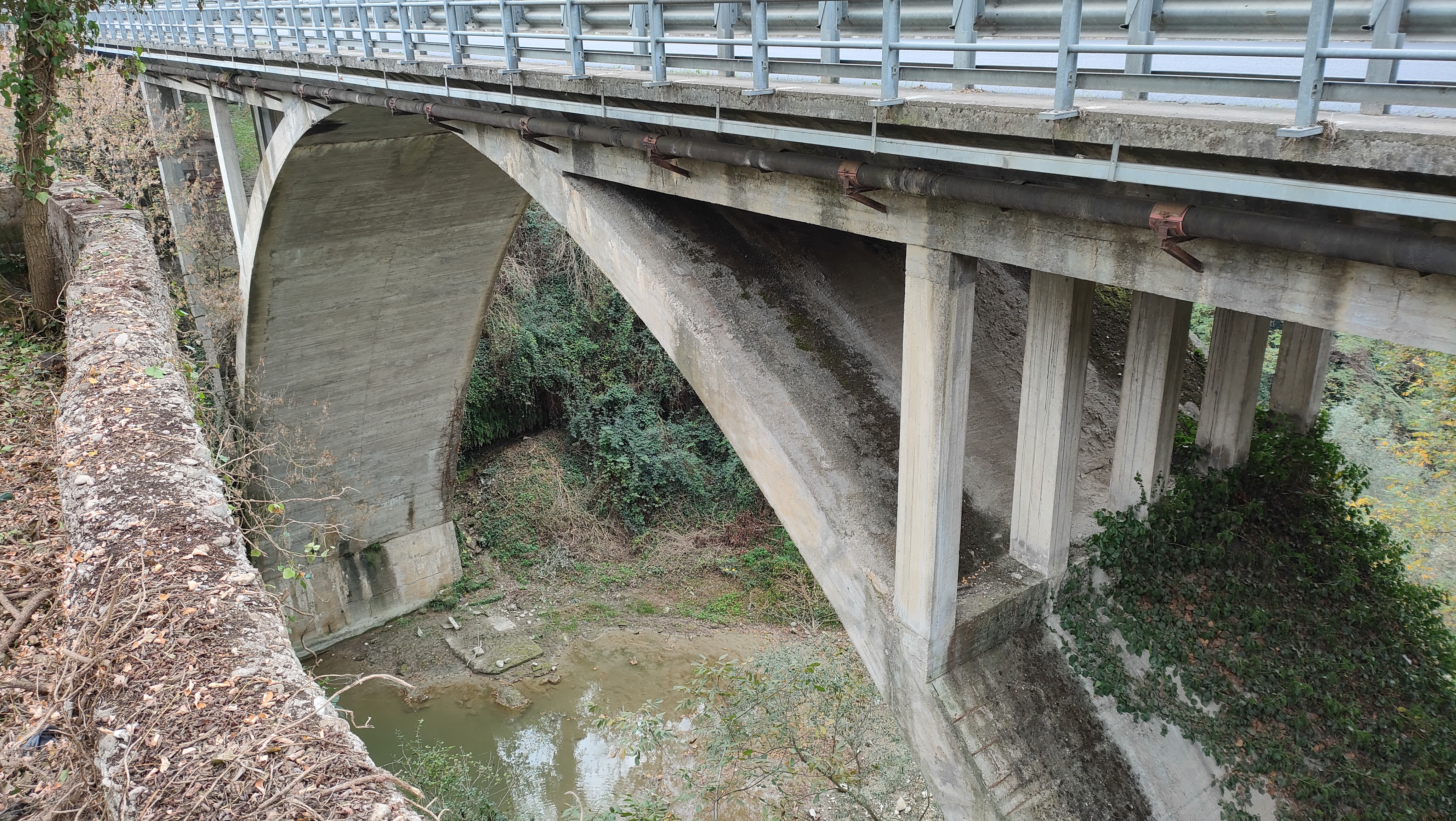 LAVORI DI CONSOLIDAMENTO DELLE PILE E DEI CORDOLI DEL PONTE SULLA SP 4 DEL BIDENTE AL KM 57+940: AGGIUDICATI I LAVORI 