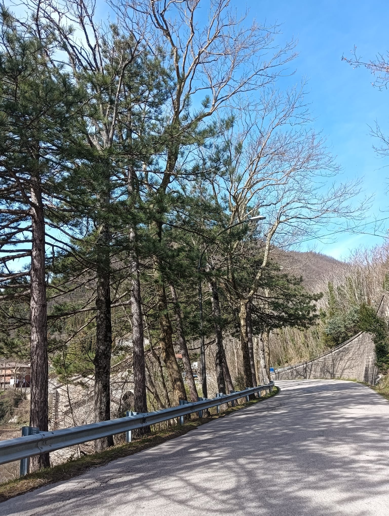 DA LUNEDì 18 MARZO AL VIA ASFALTI SULLE STRADE PROVINCIALI FORLIVESI