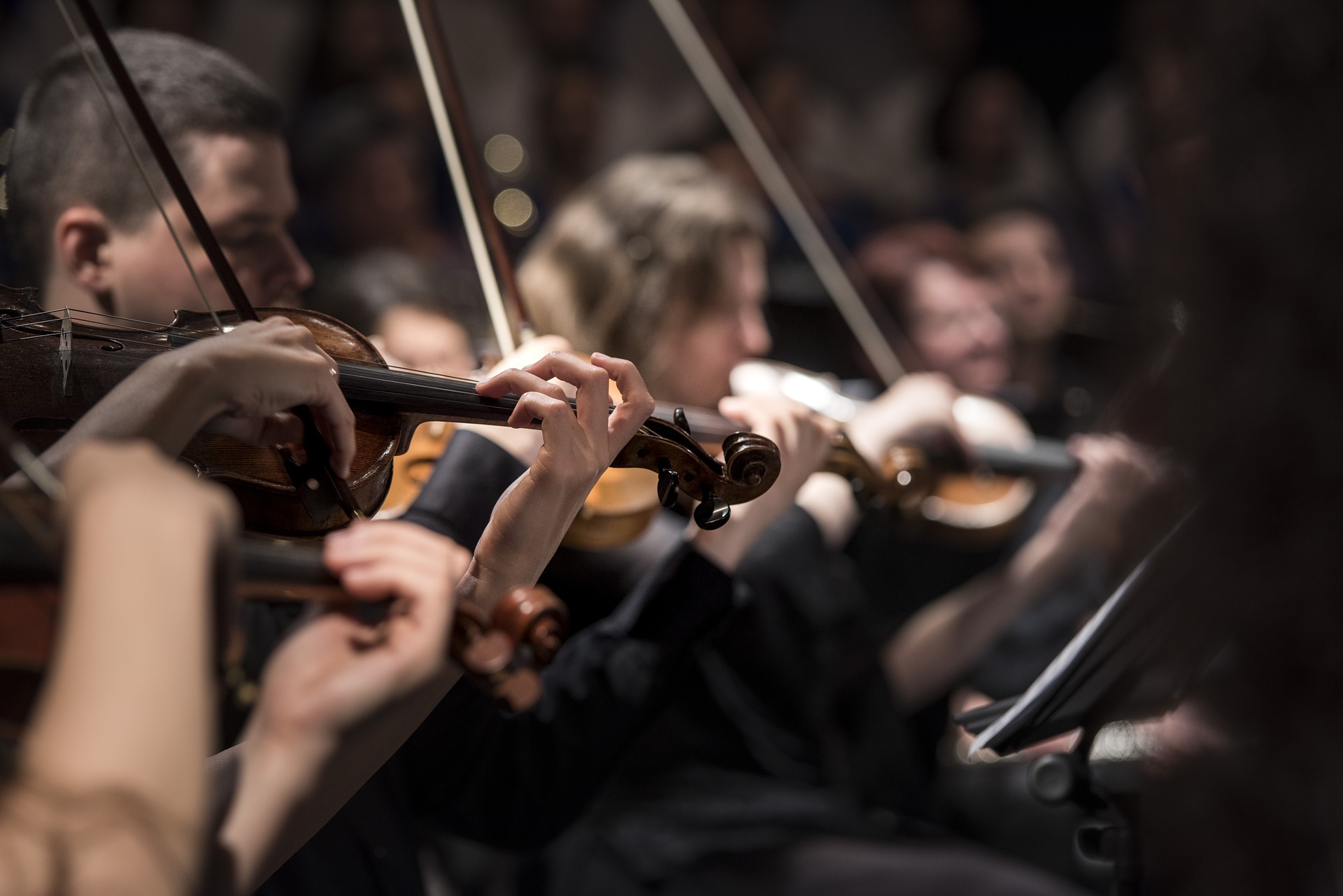 Concerto prova